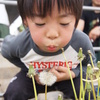 友人の子