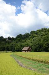 小屋