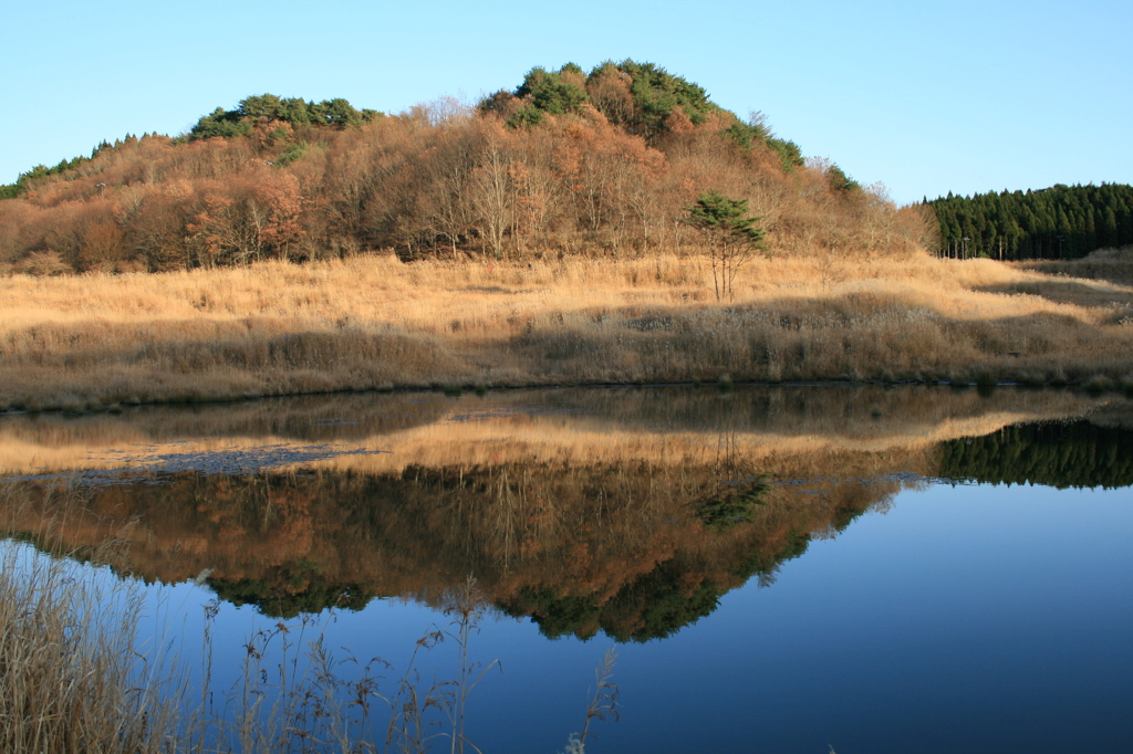 秋の風景②