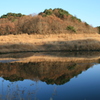 秋の風景②