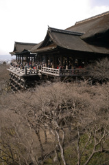 Most famous Diving spot in japan