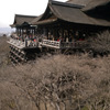 Most famous Diving spot in japan