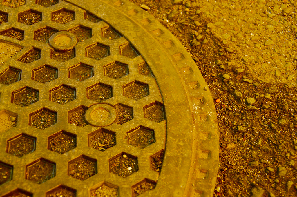 manhole cover（蜂の巣）