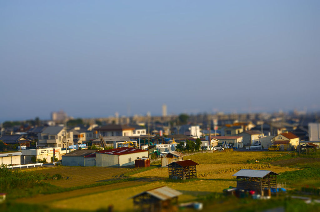 箱庭の視点