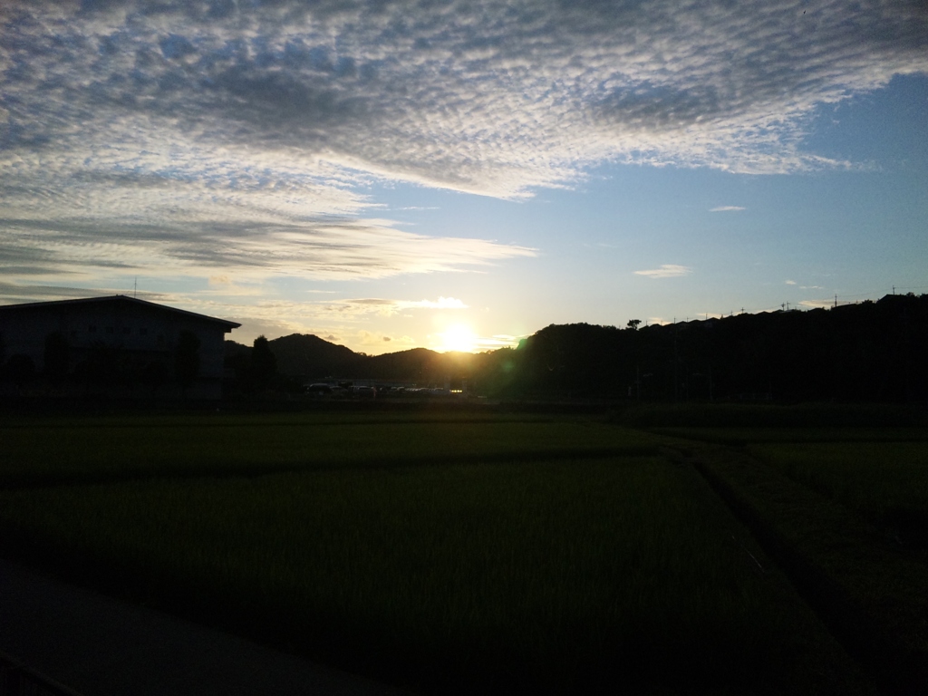 SH3E0224