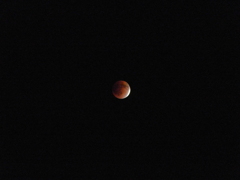 DSCN3924
