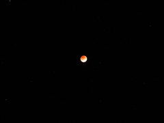 DSCN3964