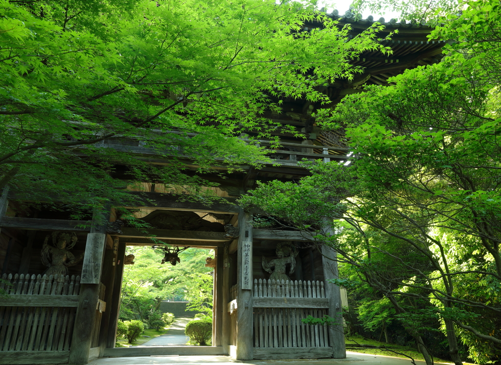 新緑の山門