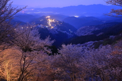 吉野の春