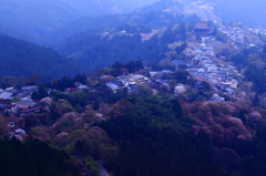 吉野の春