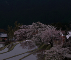 里の春