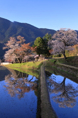 春よ春