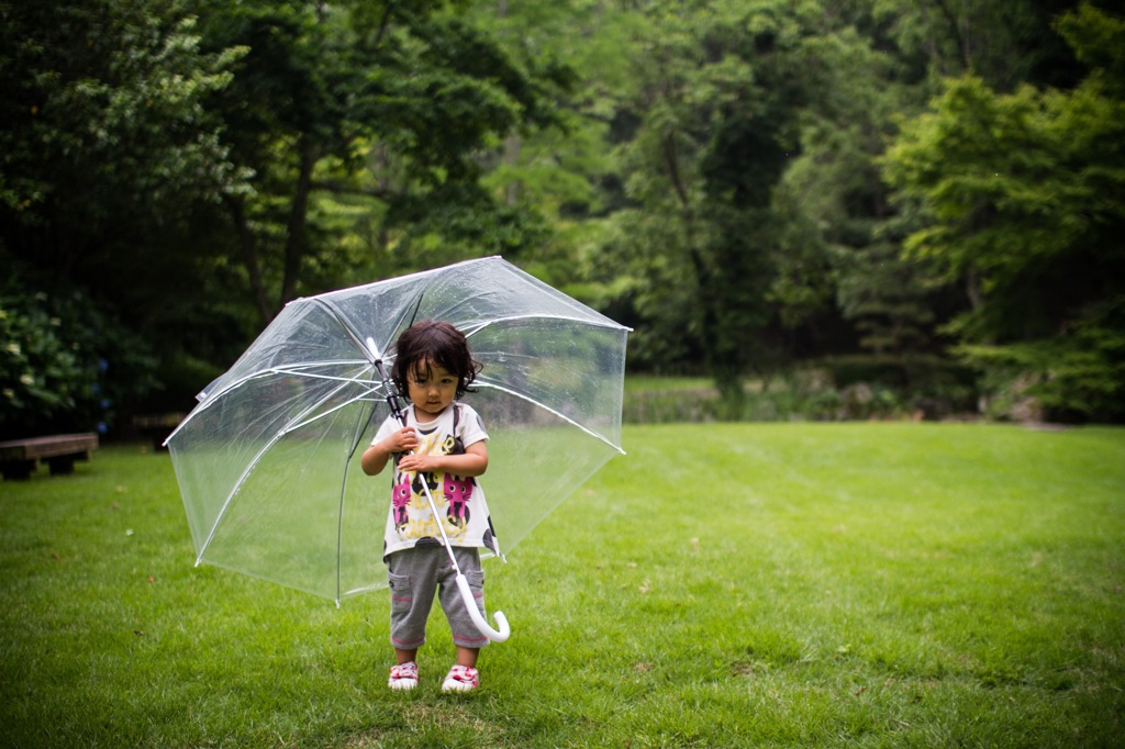 雨降り散歩の午後