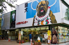 土佐闘犬センター