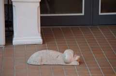 番犬
