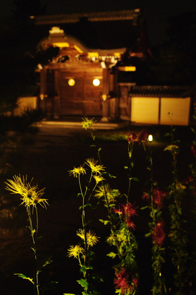 菊と門