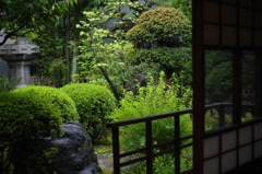 柏原家07