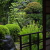 柏原家07