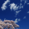 新たなステージへ