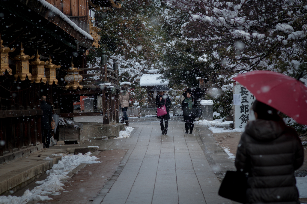 雪と梅。。