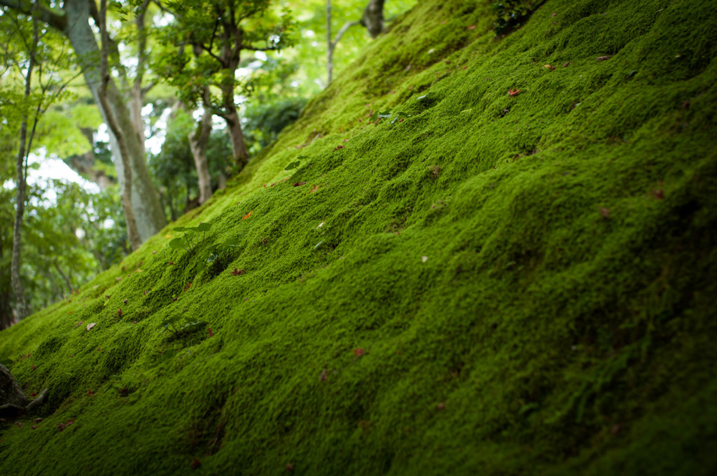 時を重ねて