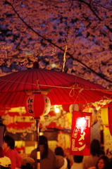 春の夜