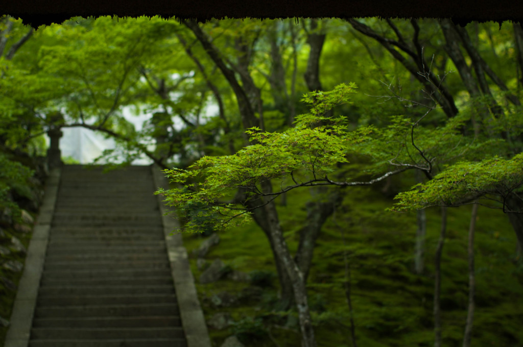 常寂光寺