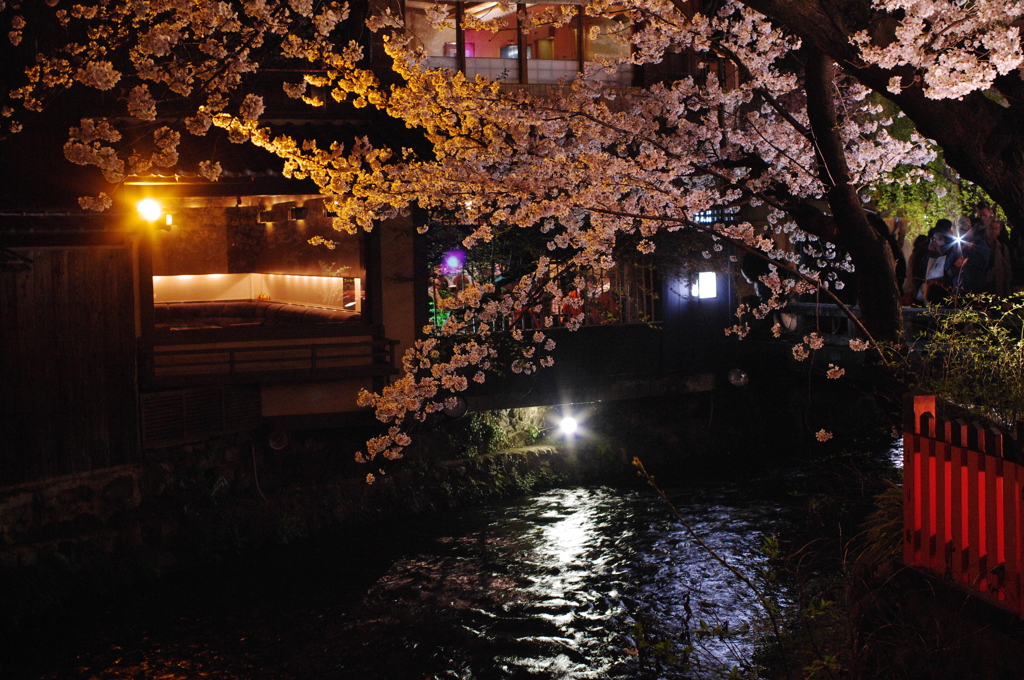 夜華の有る店