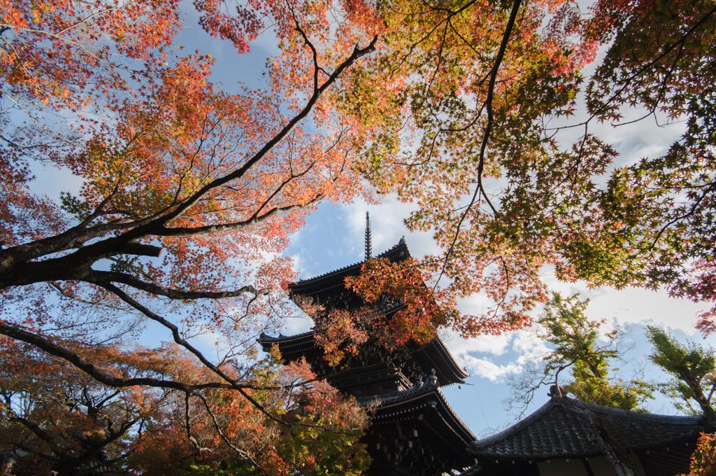 もみじ天井。