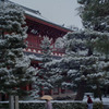 。。。雪