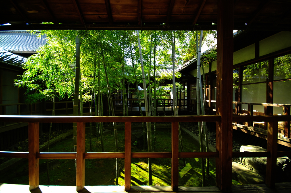 竹林の坪庭