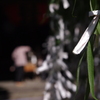 イノリ