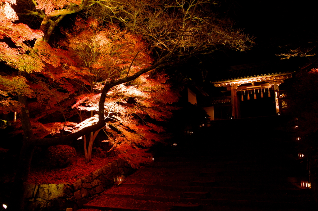 毘沙門堂の秋夜
