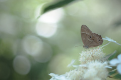 ஐ