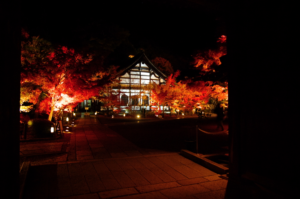 永観堂の夜