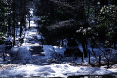 残雪の参道