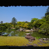 桂離宮2