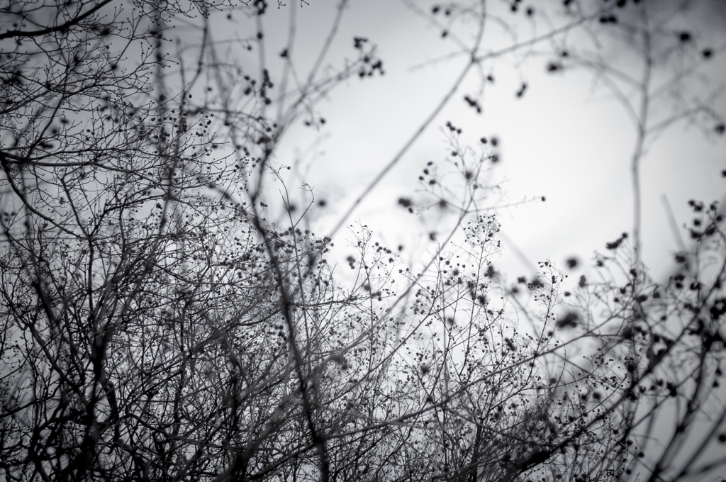 dance with sunlight Ⅱ