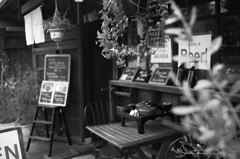 monochrome kyoto