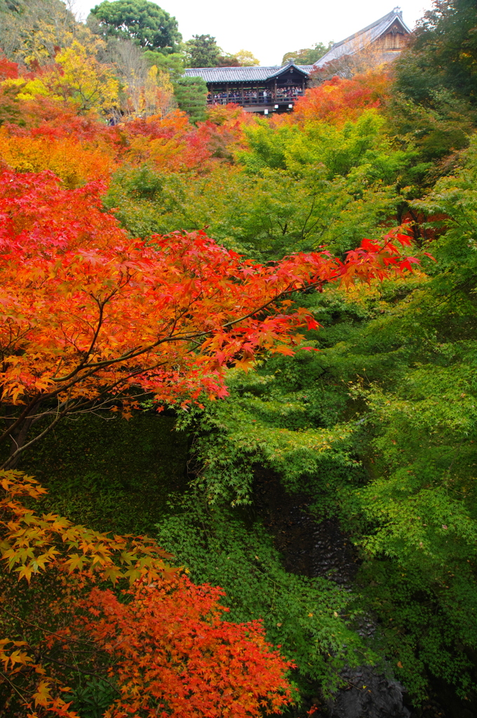 通天橋