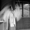 梅の舞