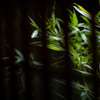 太閤山荘2