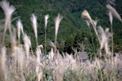 美山