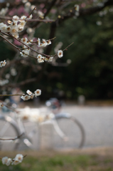 自転車に乗って