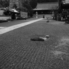 大塔