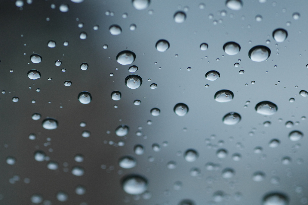 雨粒の中に・・・