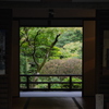 出迎え
