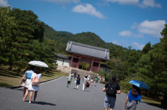 はれ