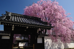 門傍の威厳