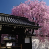 門傍の威厳